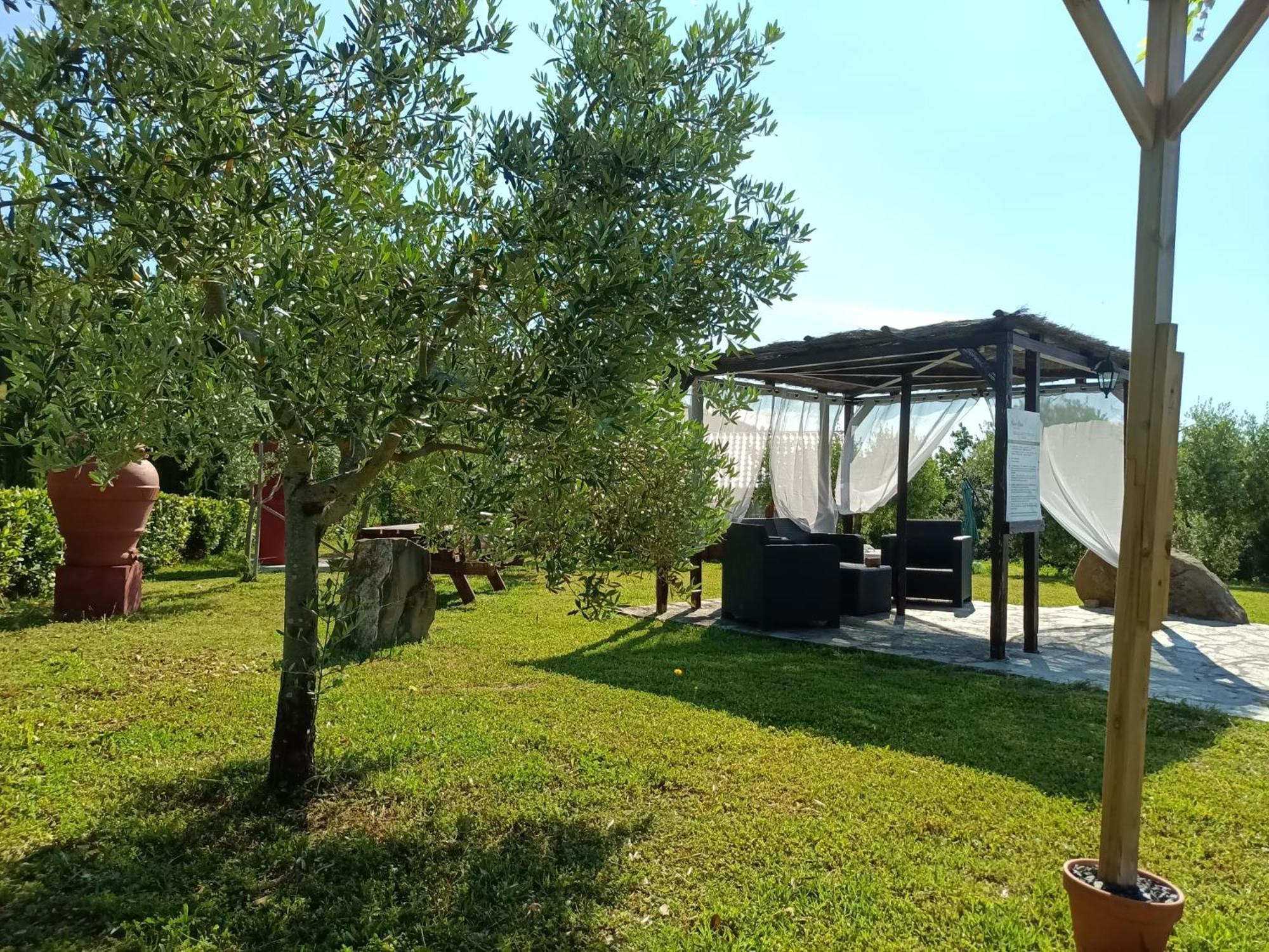 Podere Oliveta 몬테카티니발디세시다 외부 사진
